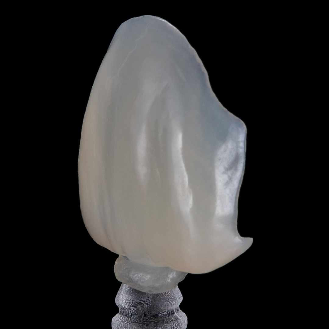 “CAD/CAM materials play a key role in our research because they are the ...